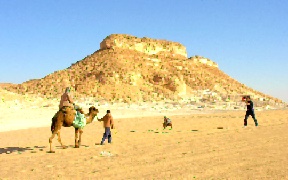 camel photographers