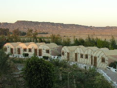 Palm Village Hotel in Baharia