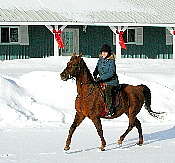 Feb 14: Katharine and Drum on a Valentine Day ride (35K)