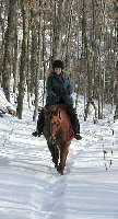 Feb 14: Katharine and Drum on a trail in the back woods (19K)