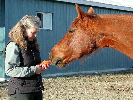 Oh yum! Fresh carrots!