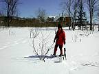 20010317pruning.jpg