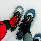 20010317snowshoes.jpg